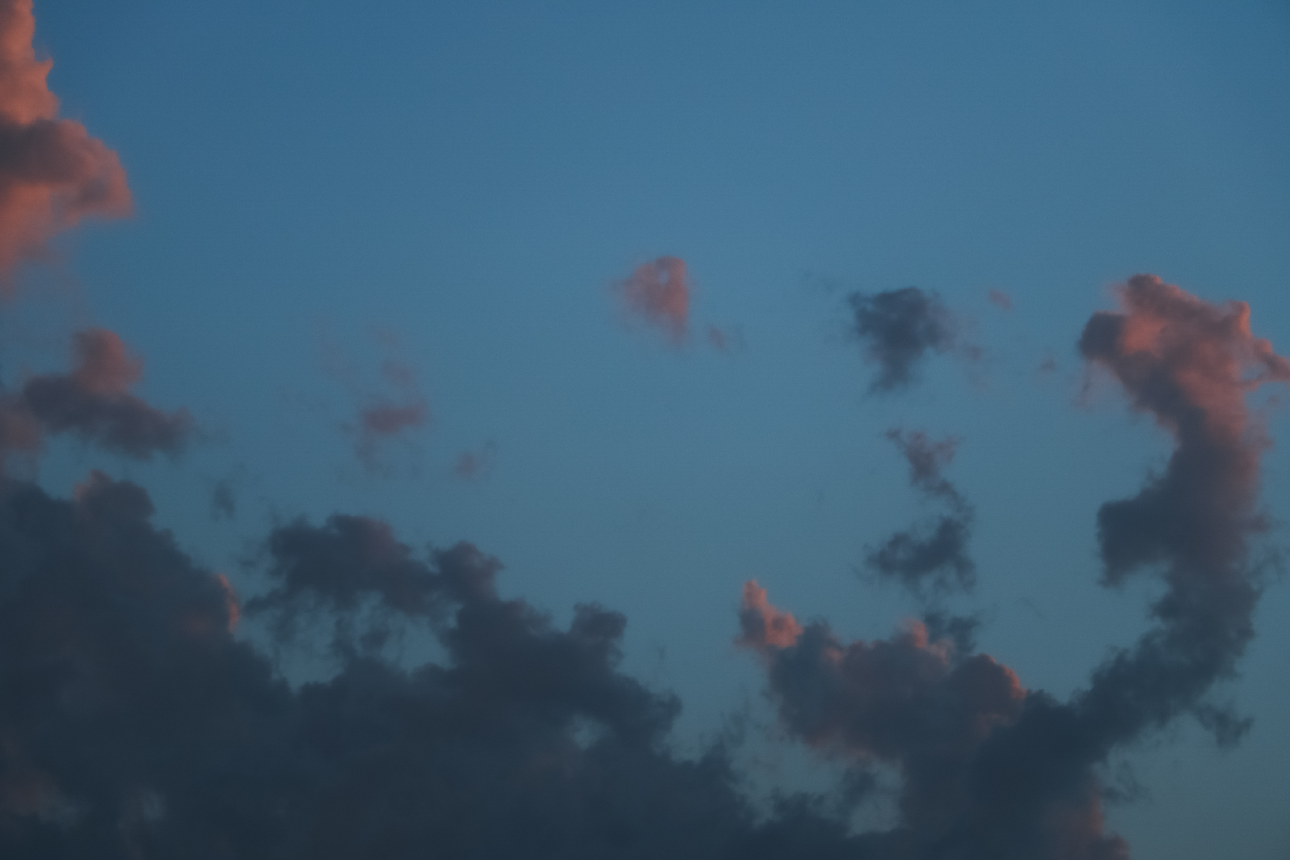 Collection main Image